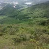 vionre1