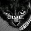 user1086016708406
