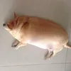 ghedepcuakento