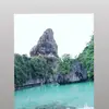 marjavanbts