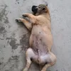 nguyennhutthien7