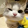mai..huong.1234