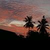 agung.hutauruk6