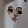 inkandfablexo___