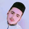 ali.ali75253