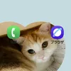 user5363912305744