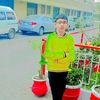 zaidmavia.4