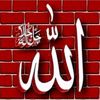 zahoormehngral