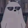 polar.sty