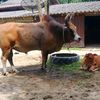 mutita.hongthong