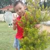 daba.sherpa