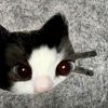 muuttii_39