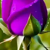 taki.taki743