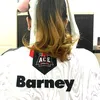 barneybot21