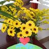 jennifer.sasman