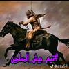 waleed.alwarafli