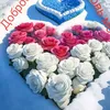 user7902930061631