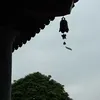 longhoangng3