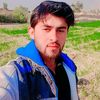 zarsaid8