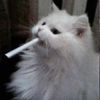 charles.vill4