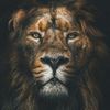 emmanuel.furahi
