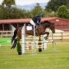 tkl_equestrian