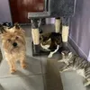 rocket.doby.nami