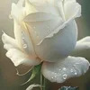 susu74315