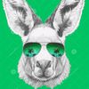 djedgarrmix