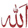 user4632668540548