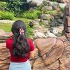 hai.wiw