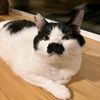 fluffychoco84