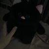 aiish_017