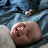 Babys and Pets