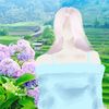 maalakshmis_lotus