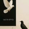 rawdat.elhabieb