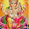 kamaladevi981