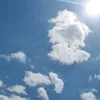 khizar123