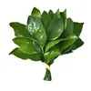 _hanna_sayhi_
