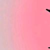 _26flwrr.rha