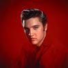 Elvis 4ever