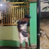ircham.ae