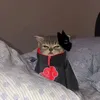 skrrrayyy