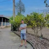 cau_haiqka03