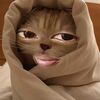 zahwamarissa_