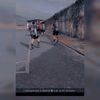 abelhaz15