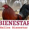 granjadelbienestar