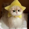 puppypopo1717