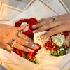 rawan.mahmoud43