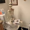 skeleton_takingashit